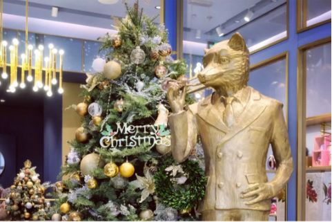 深圳有几家出名花店,深圳比较好的花店推荐