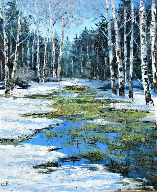 冬天的白桦林视频,冬天的白桦林美景