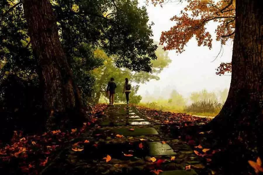 徽州赏秋三日游自驾游攻略,小众徽州赏秋村落