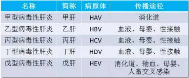 散伙饭“吃垮”毕业生!几个蒜蓉扇贝,竟然吃进了重症监护