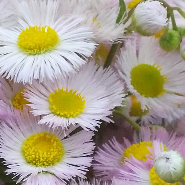 红米手机redmi8,redminote8红米手机