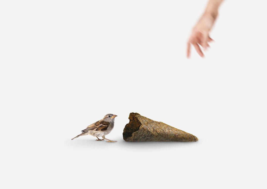 爱护地球环保主题手工,地球环保设计