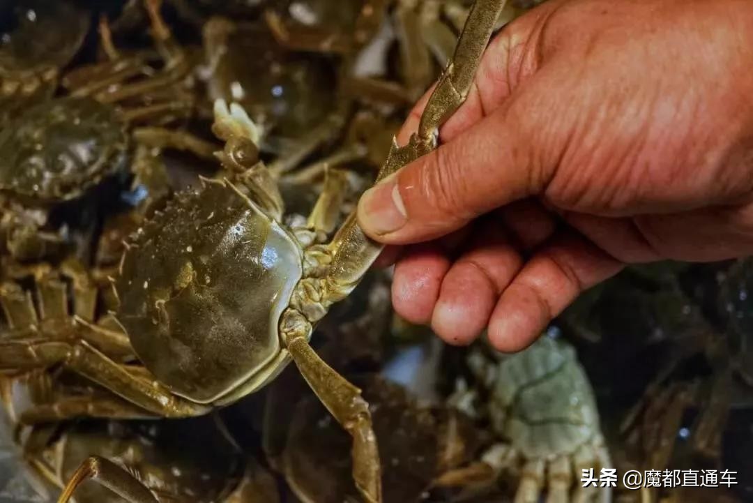 2019，在最好的时间，挑最好的地点，吃最好的食物！