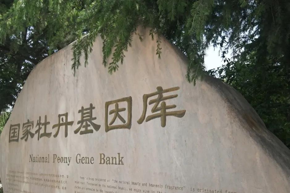 旅行结束回来继续努力,旅行恢复生命力