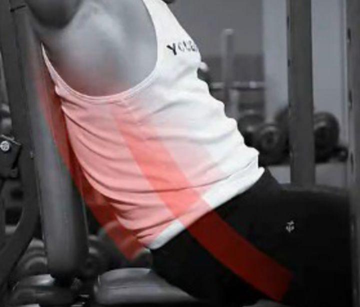 wildfieldhealth牌子如何,wildfieldhealthcare