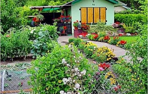 农村创业点子相关推荐,农村创业点子农村最缺什么生意