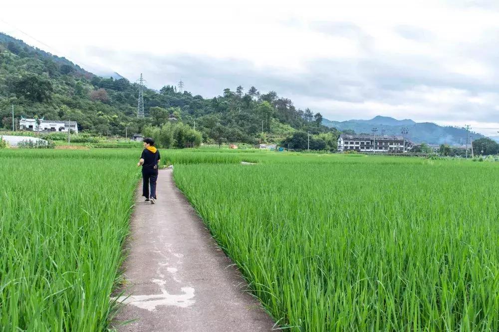 桂林楠溪温馨主题民宿,西昌市楠溪客栈民宿
