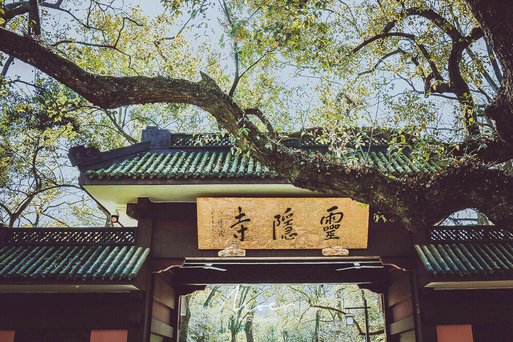 正投简历的快看过来！这里有个神仙岗位，业绩“随缘”环境绝美