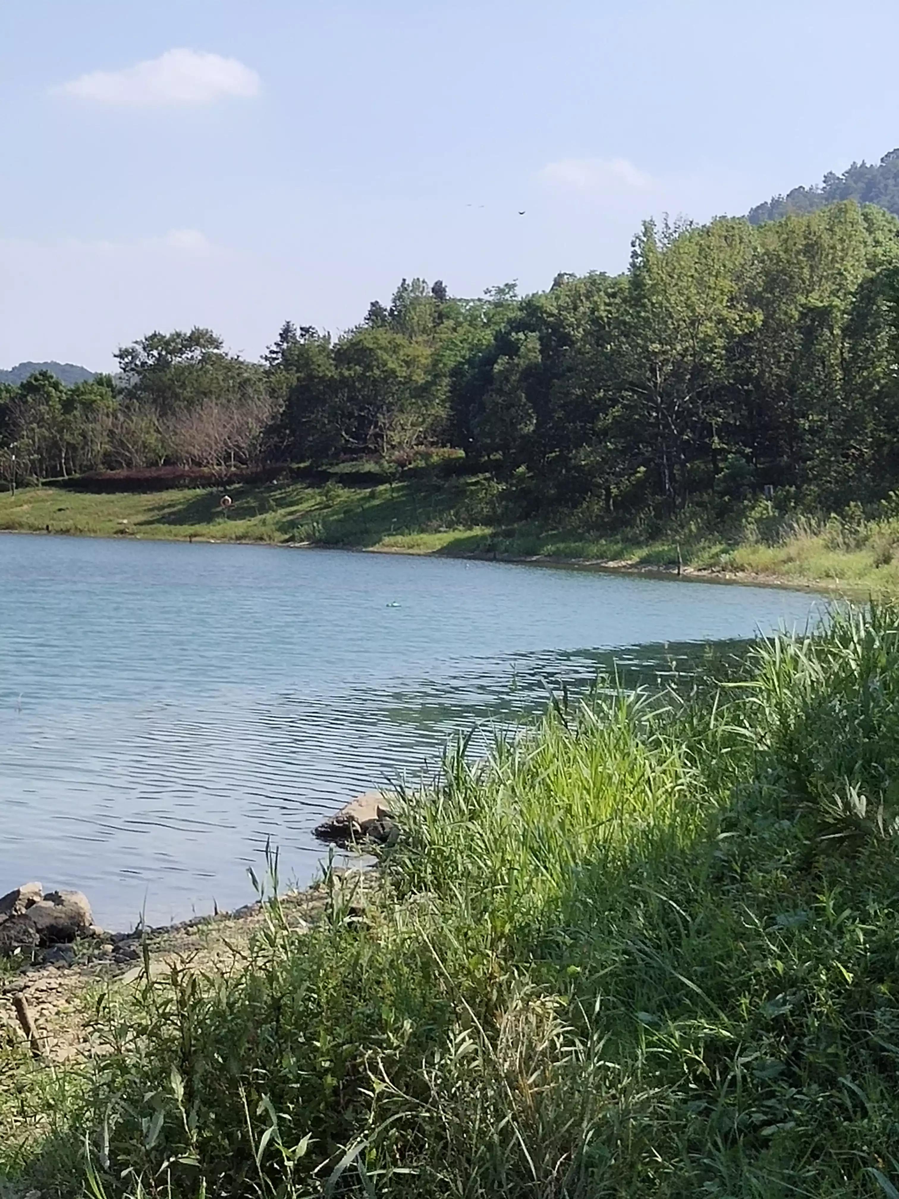 宁波镇海钓鱼野钓最新地点,宁波九龙湖水库钓鱼攻略