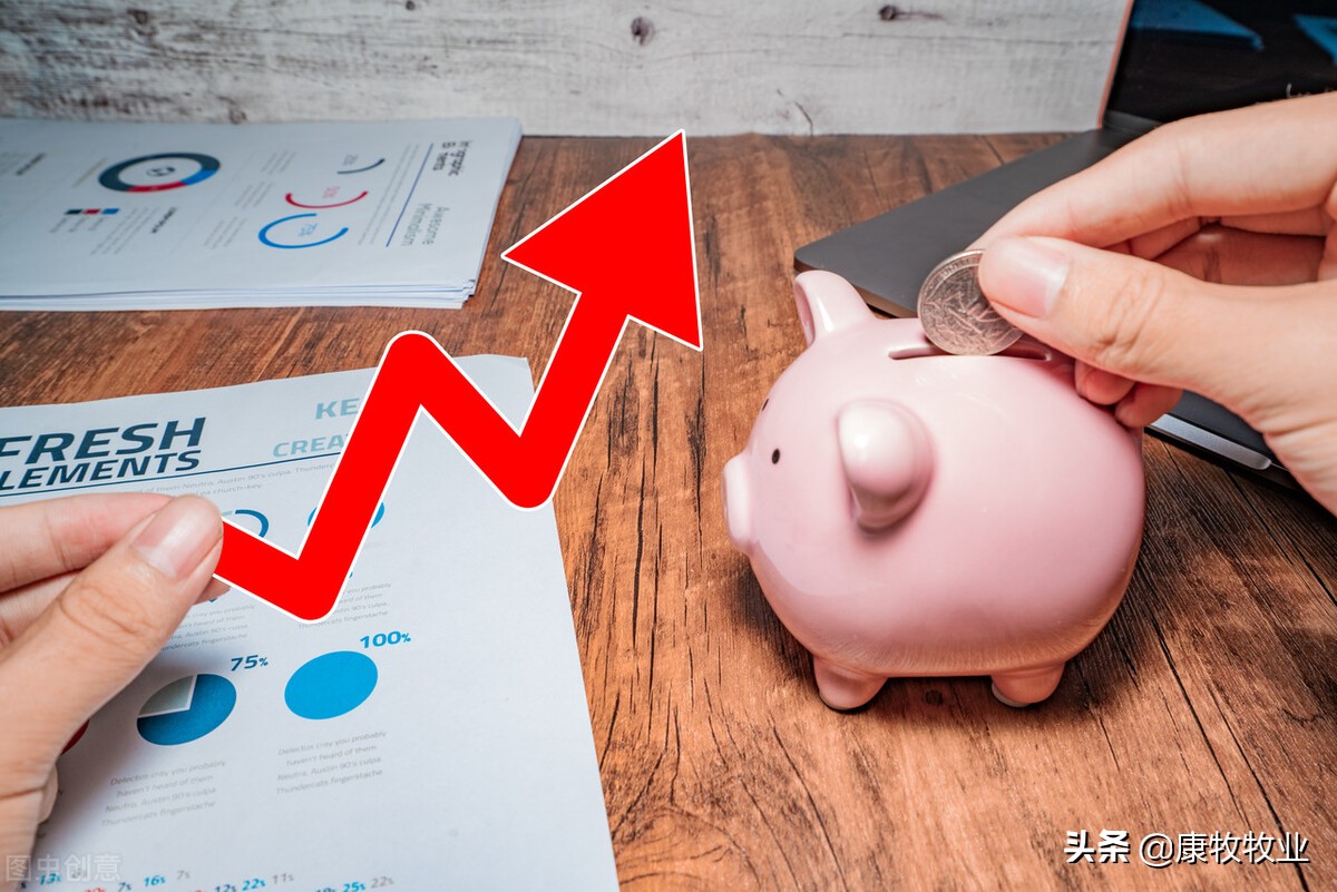 天邦股份在哪养猪,养猪上市公司天邦股份