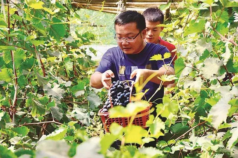 「印象孝义」2018年孝义年终盘点来啦！