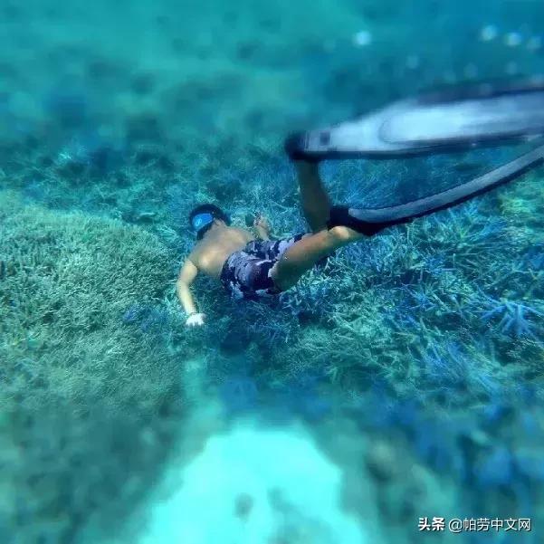 还没有被发现的岛屿,又挖到5个福建的小众绝美海岛