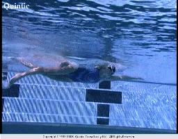 自由泳打腿技巧杨丽娜,自由泳打腿技巧总结