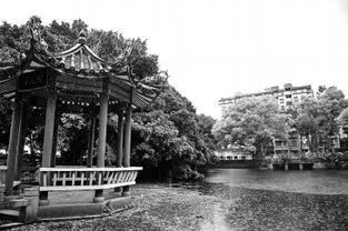 「今日作家」成泽宪‖我的冶山之缘（散文）