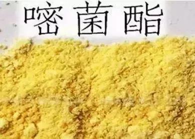 天然高效橙皮精油助剂,橙油助剂与有机硅助剂的区别