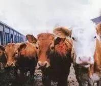 全民国家安全教育日保护公众健康,4.15全民国家安全教育日主题宣传