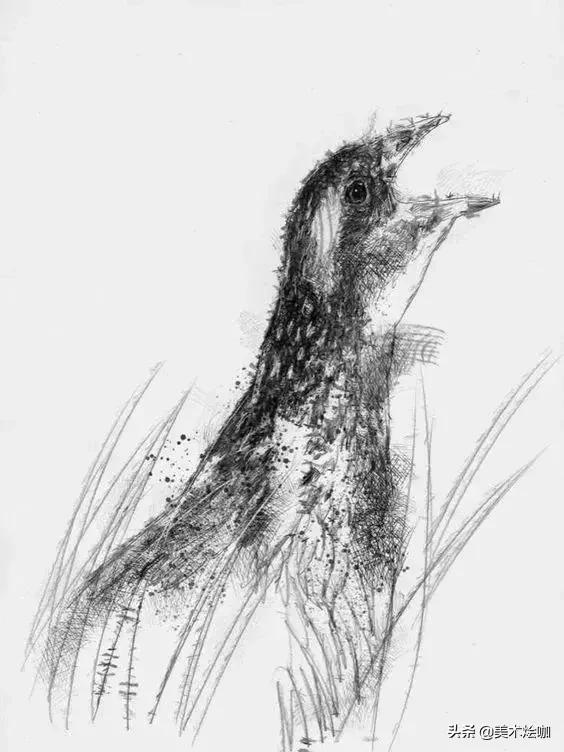 6-12岁儿童素描课程画动物,素描动物教程简单8-12岁