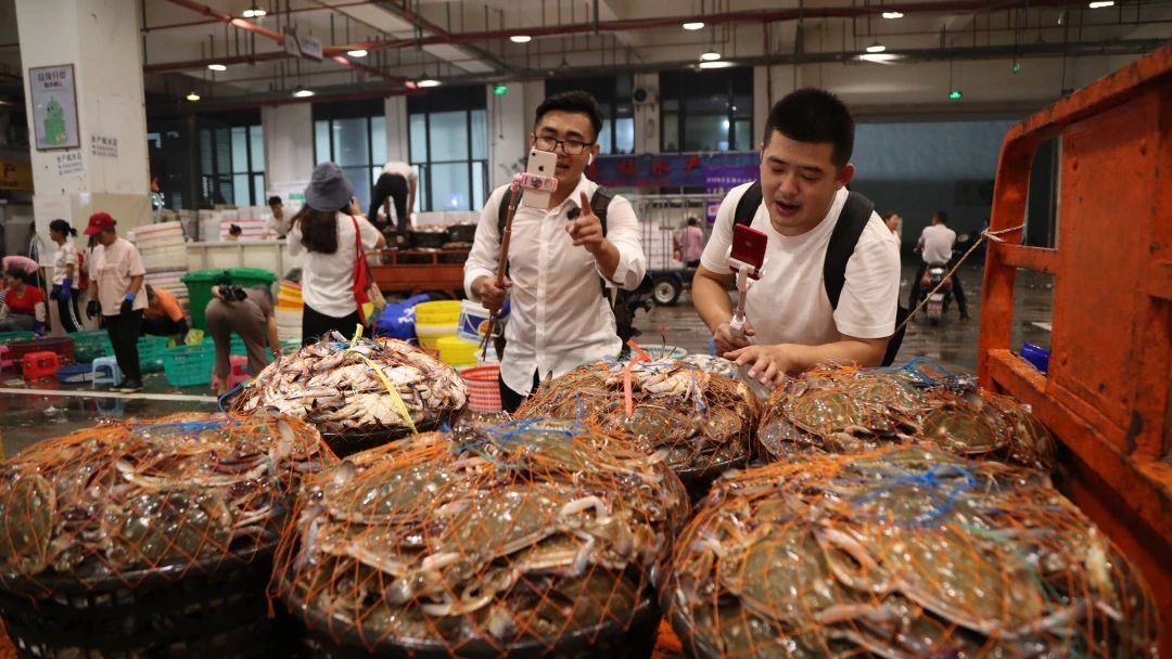 揭秘网红直播卖货,网红直播卖货记录