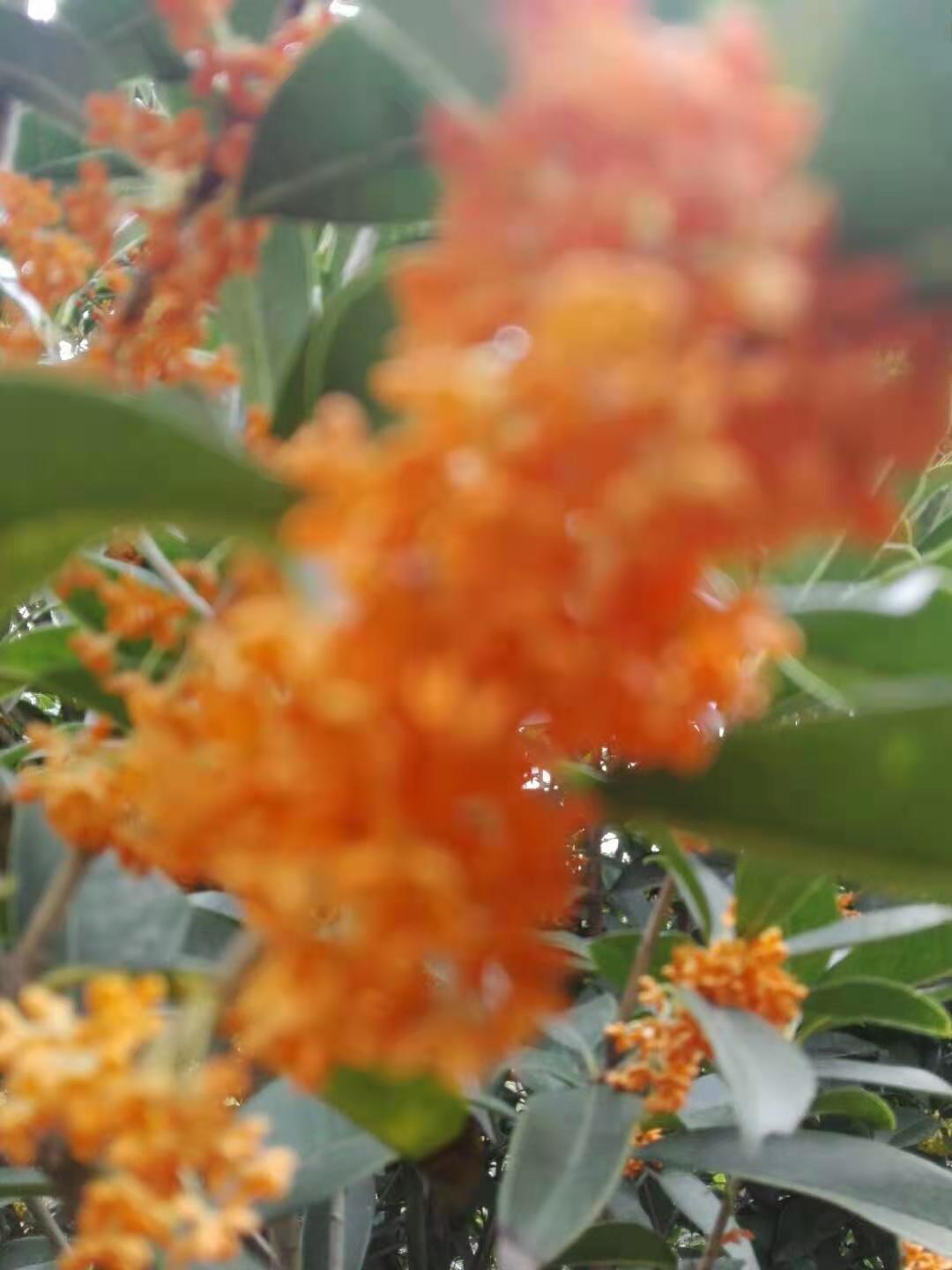 突破层级用什么方法,语文排序题秒杀技巧