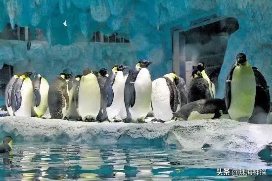 珠海一日游攻略小红书,珠海旅游网红打卡必去的地方