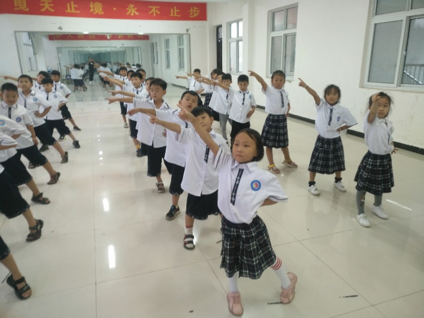 舞蹈纳入美育中考,舞蹈纳入中考成绩的艺术类吗