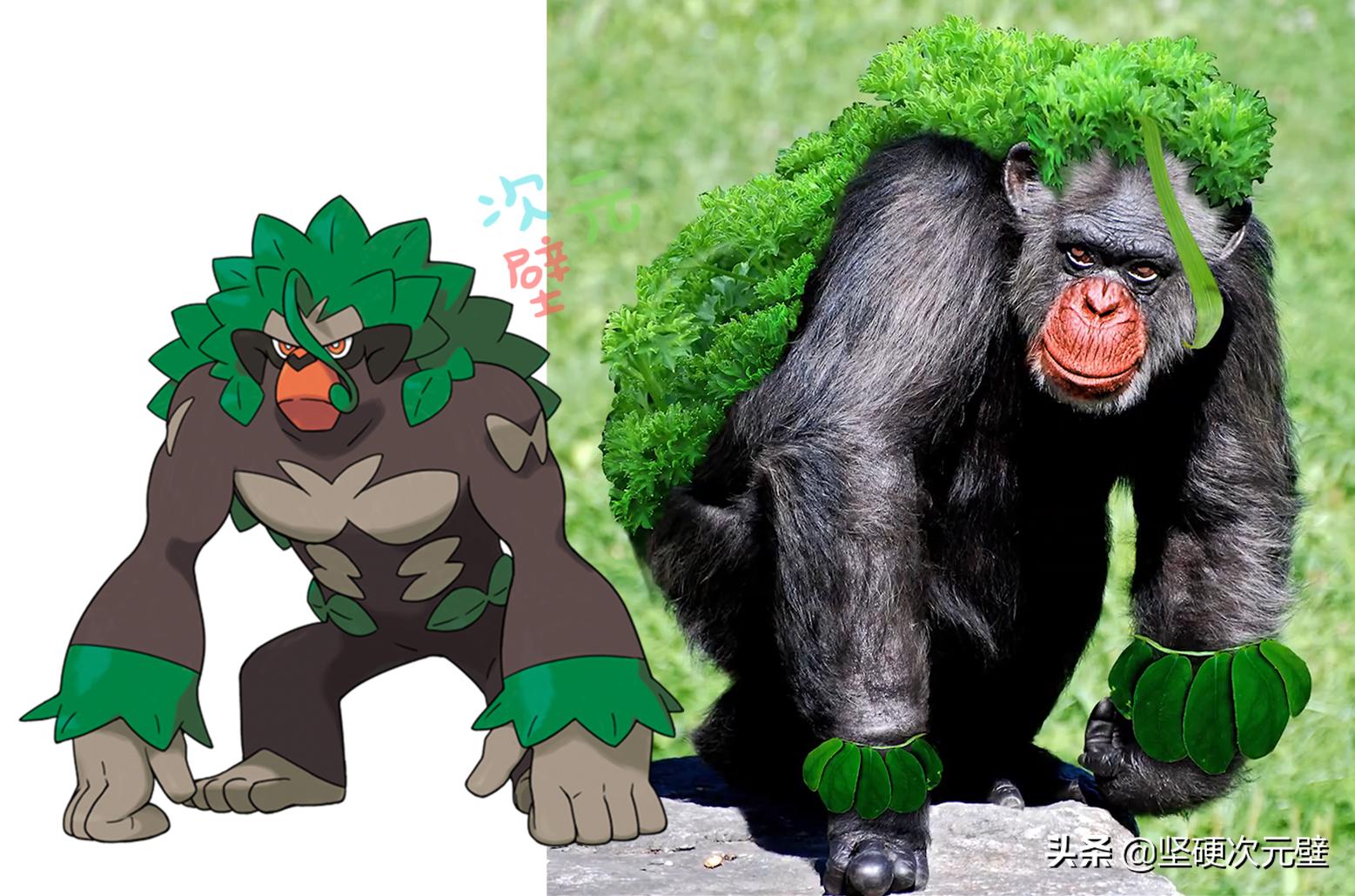 神奇宝贝喷火龙的进化史中文版,神奇宝贝火恐龙进化成了喷火龙