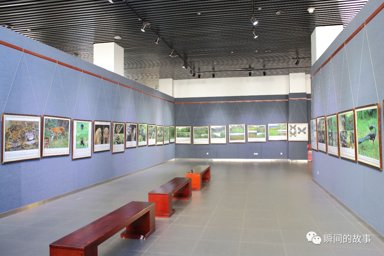 昆明旅游攻略云南民族博物馆,昆明三日游云南省博物馆