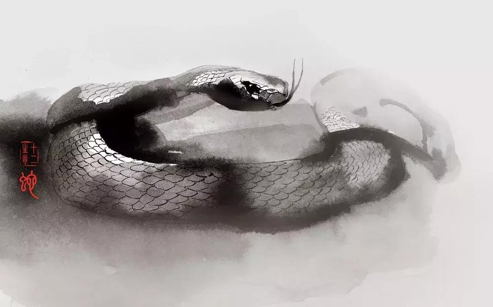 属相不合如何破解,破解属相不合的方法