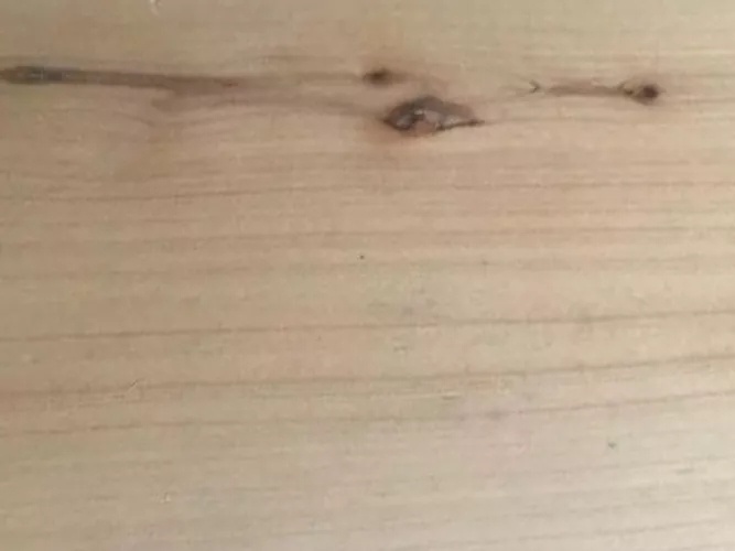 如何识别家具木材,常见家具木材