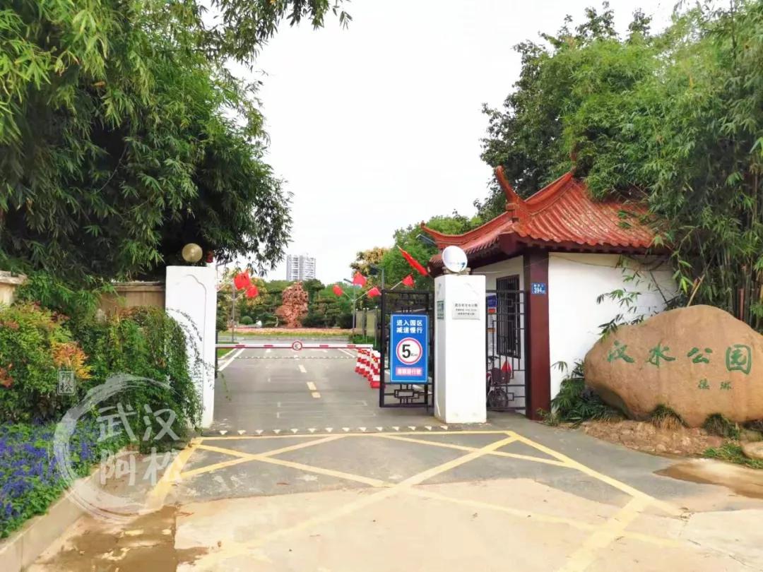 华丽转身！全面开挂！2020年这个区域涅槃重生！走上人生巅峰