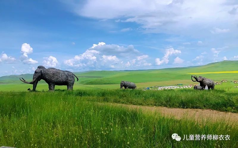 暑假带孩子内蒙古旅游攻略,暑期内蒙古亲子游鄂尔多斯