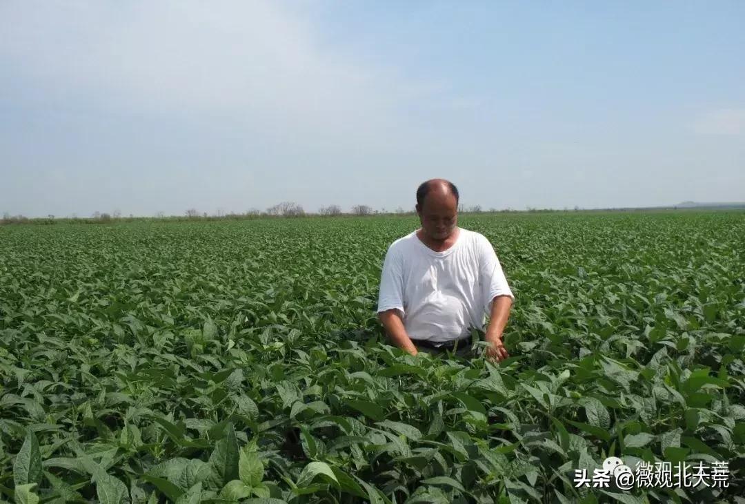 北大荒的追梦人|葛柏林：打造“中国最美家庭农场”的北大荒人！