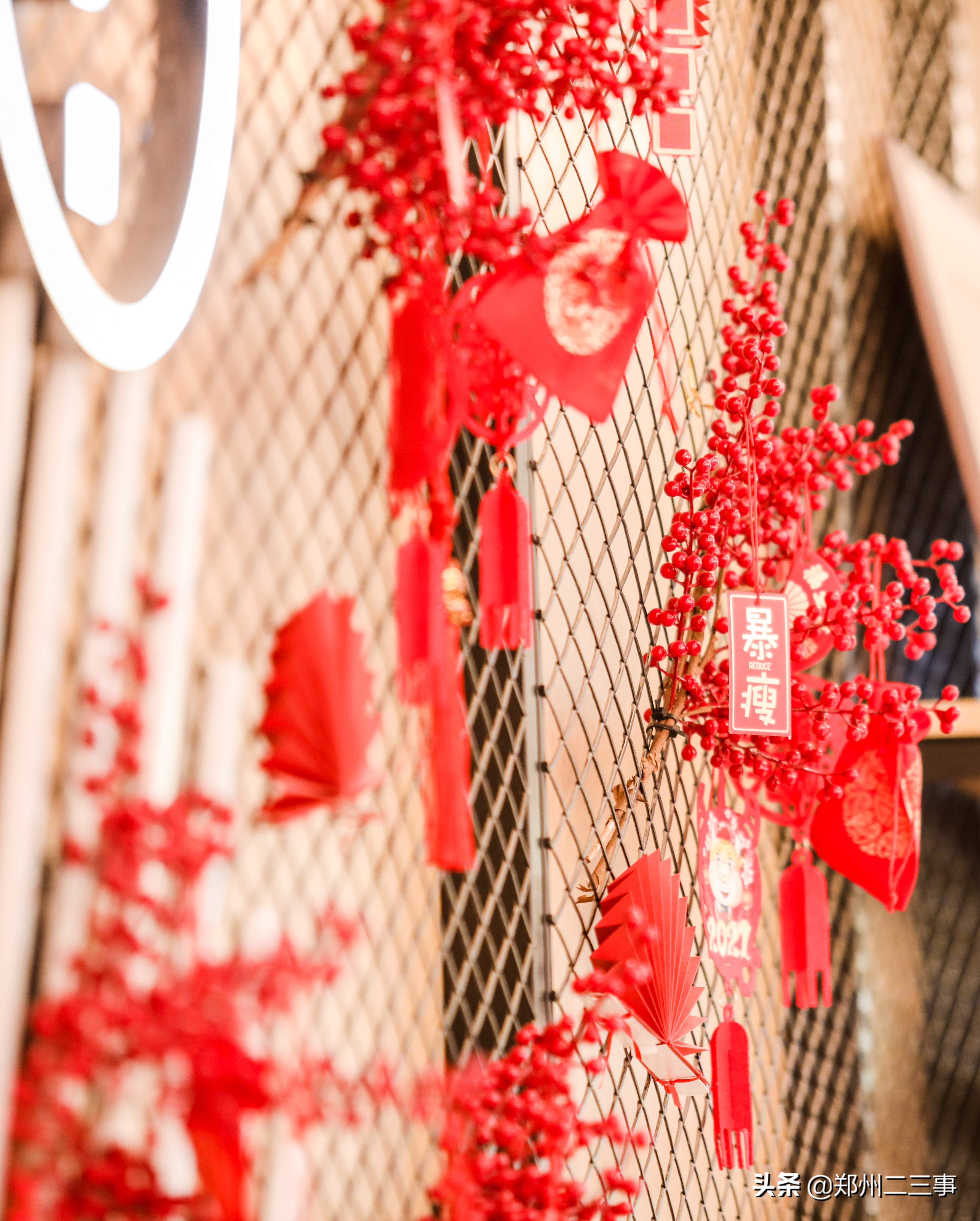 郑州惠济区免费遛娃好去处植物园,郑州遛娃踏青好去处