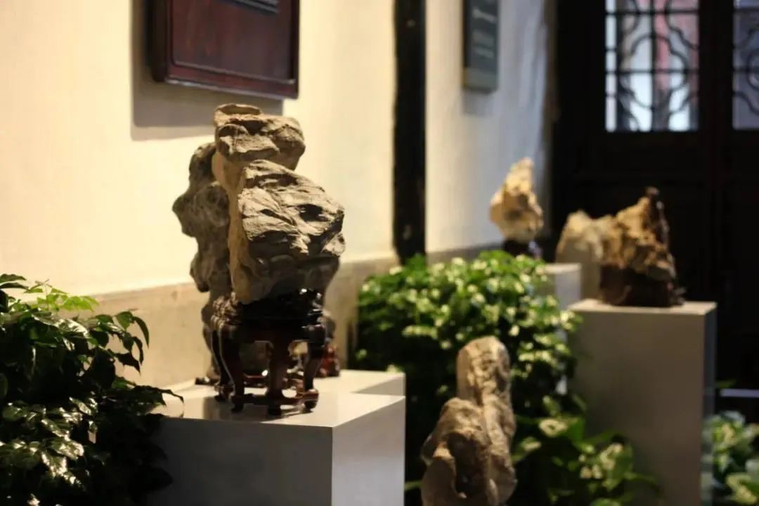 去苏州旅游攻略必备,去苏州旅游的最全攻略