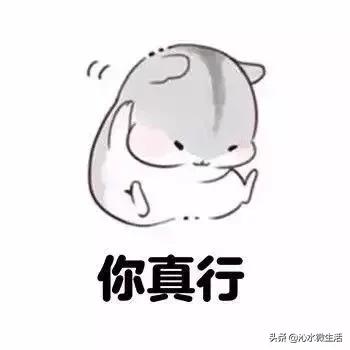 红凤巢玉如意……吸睛的二青会场馆，各个皆风景