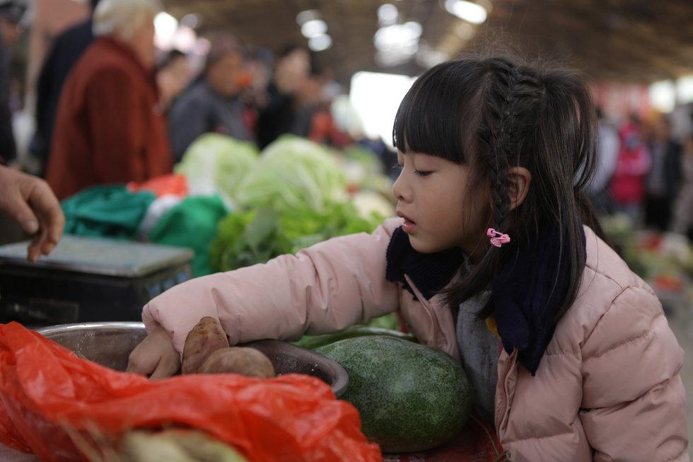荆州各区县综合实力排名,2019年荆州市各县市排名