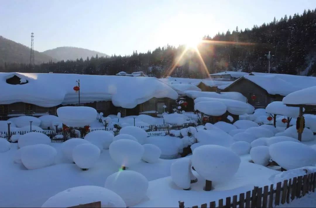 为什么南方人说东北人抗冻,东北人抗冻还是南方人抗冻