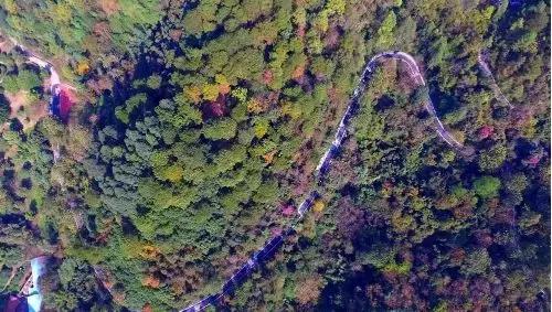 百里柳江“龙凤胎”,这块地为什么这么贵?玄机在这里