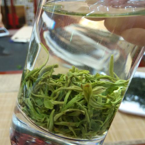 毛尖茶算是什么茶,鸠坑毛尖适合哪些人喝