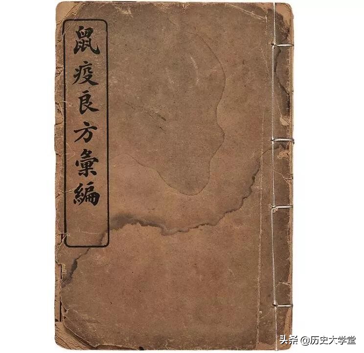 人类历史上十大鼠疫死亡事件,鼠疫发生在哪年死多少人