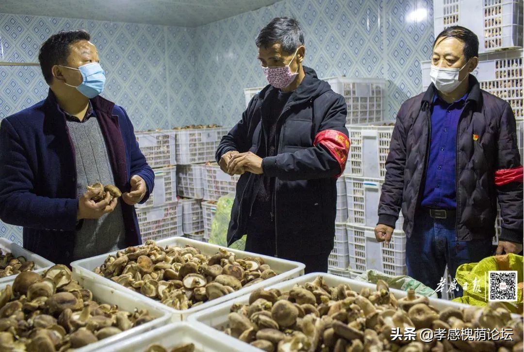 孝感抗疫,麻城抗疫故事