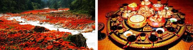 成都自驾游泸定桥攻略,泸定桥海螺沟自驾游2天攻略