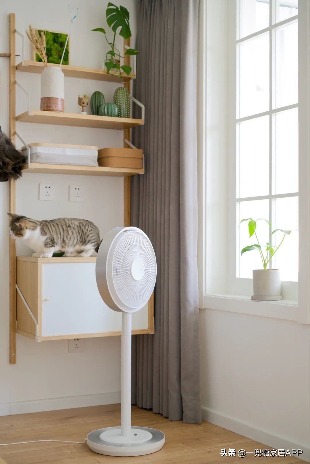 循环风扇真的那么好用吗,一款非常实用的多功能风扇