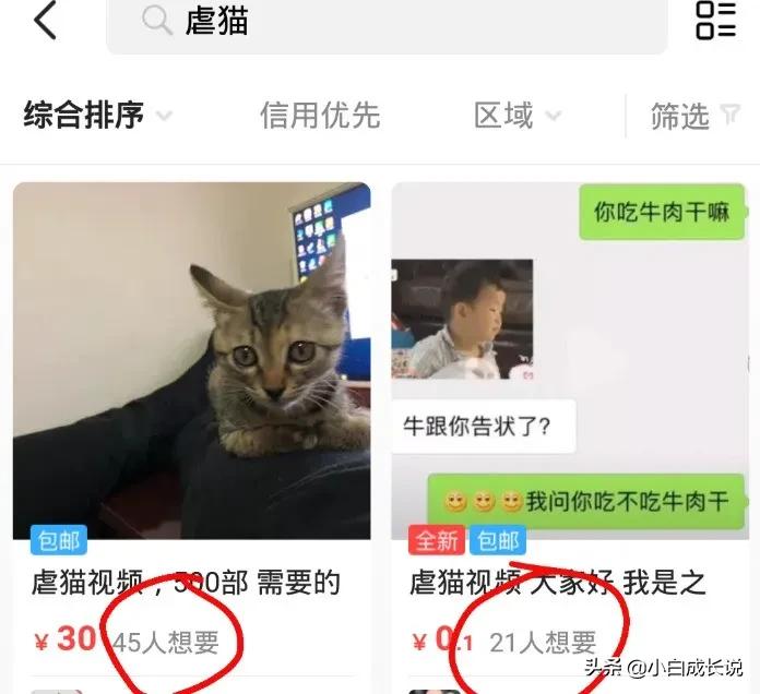 为什么虐猫会被批判,为什么现在虐猫都能上热搜