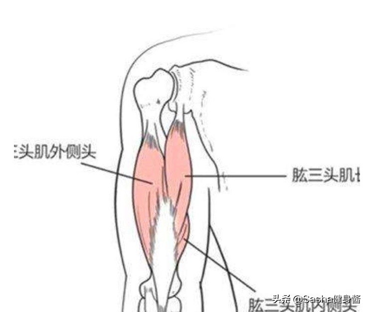 手臂的拜拜肉练什么动作最好,瑜伽减手臂拜拜肉最有效的动作