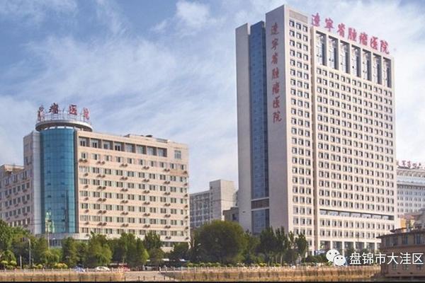 辽宁新增三甲医院,辽宁省三甲中医院