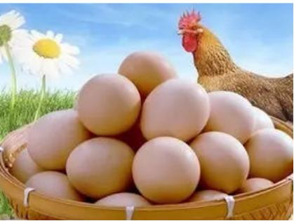 如何辨别人造鸡蛋和真鸡蛋,超市里卖的鸡蛋是人造鸡蛋吗