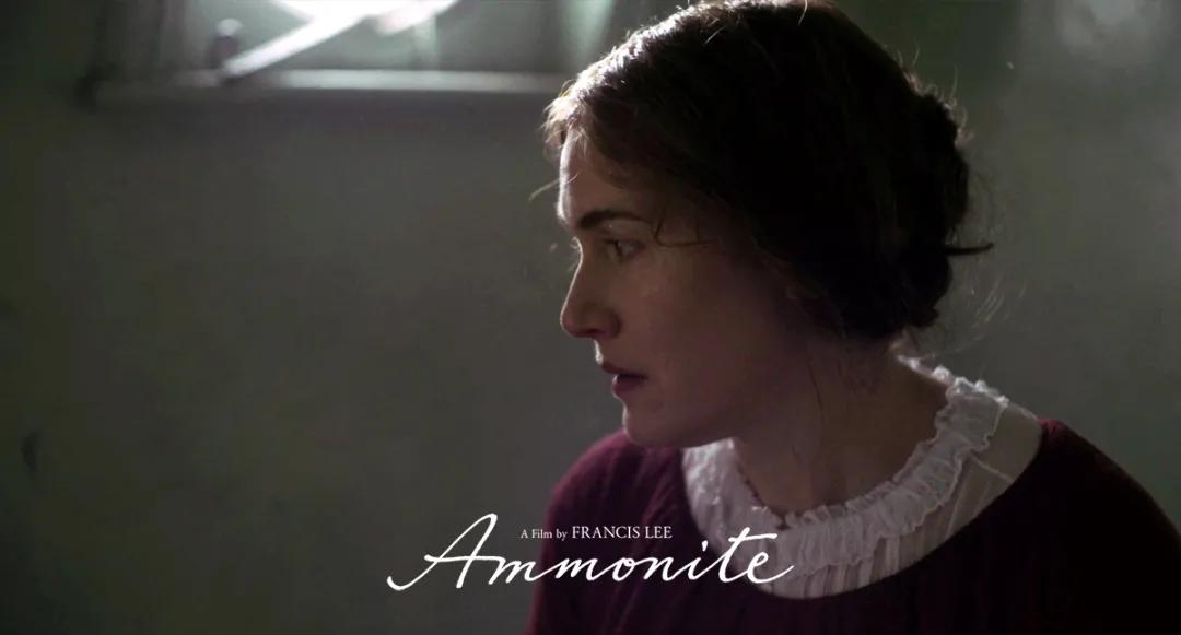 《菊石》的后劲：沉浸体验式的阅片过程，前所未有