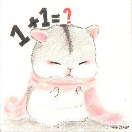 仓鼠有什么让人不理解的行为,仓鼠最容易误解的地方