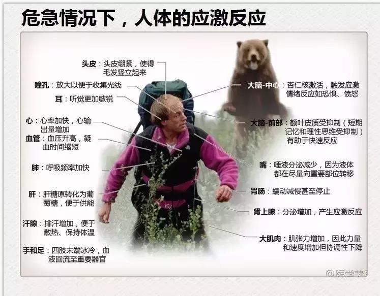 糖尿病有种叫“应激性”，原来血糖也跟心情走